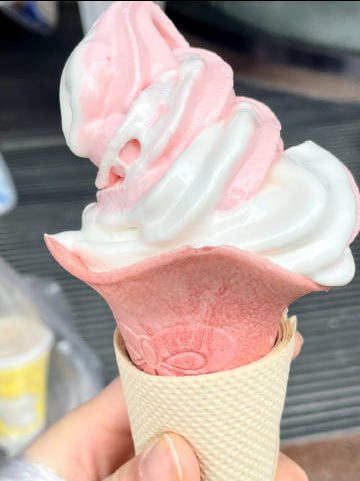 AnnaMiya10's tweet photo. I like having freedom. I wake up in the middle of the day and say, 'I don't know, should I have a popsicle or a donut? ’ You know, who knows? https://t.co/sxYetixl0x