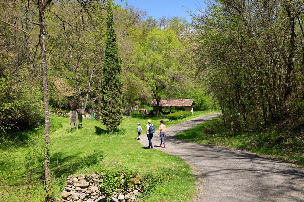 blogslowlife's tweet photo. Le paradis se trouve ici...dans le piémont pyrénéen au printemps 🌿 en Haute-Garonne. 💚
Une nature préservée, 🐦une explosion de couleurs, 🌸 de reliefs, un véritable bonheur au printemps
#tourismeHg #BaladeSympa
#HauteGaronne #destinationpyrenees #Pyrenees #magnifiquefrance https://t.co/F16H7GJLzT