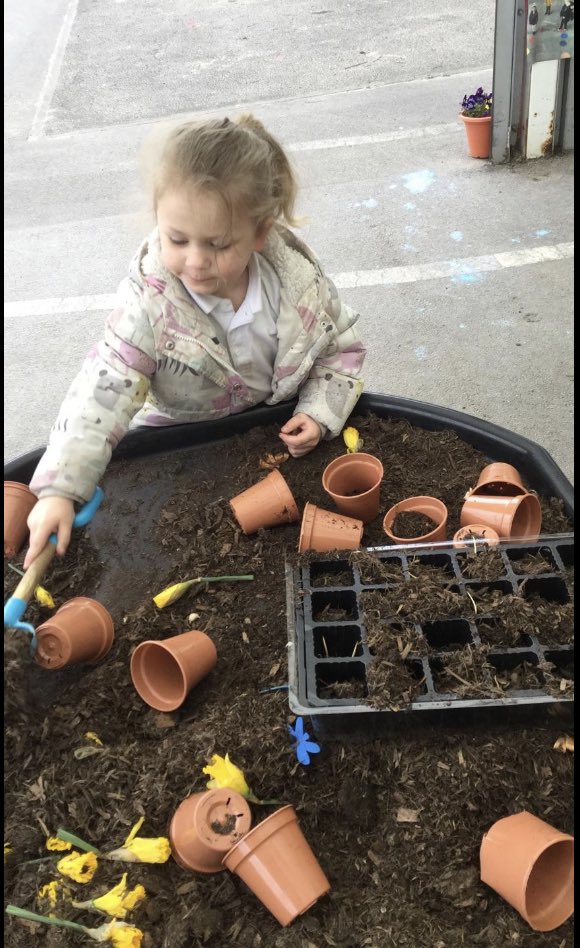 Meadowside Sunflowers Nursery tweet media