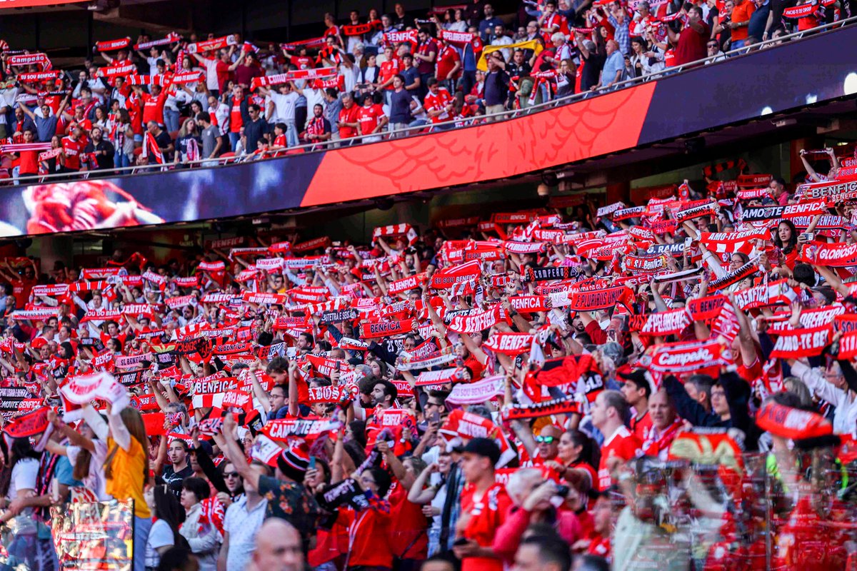 SLBenfica's tweet photo. #SLBEP https://t.co/uO47Wmp0Fc