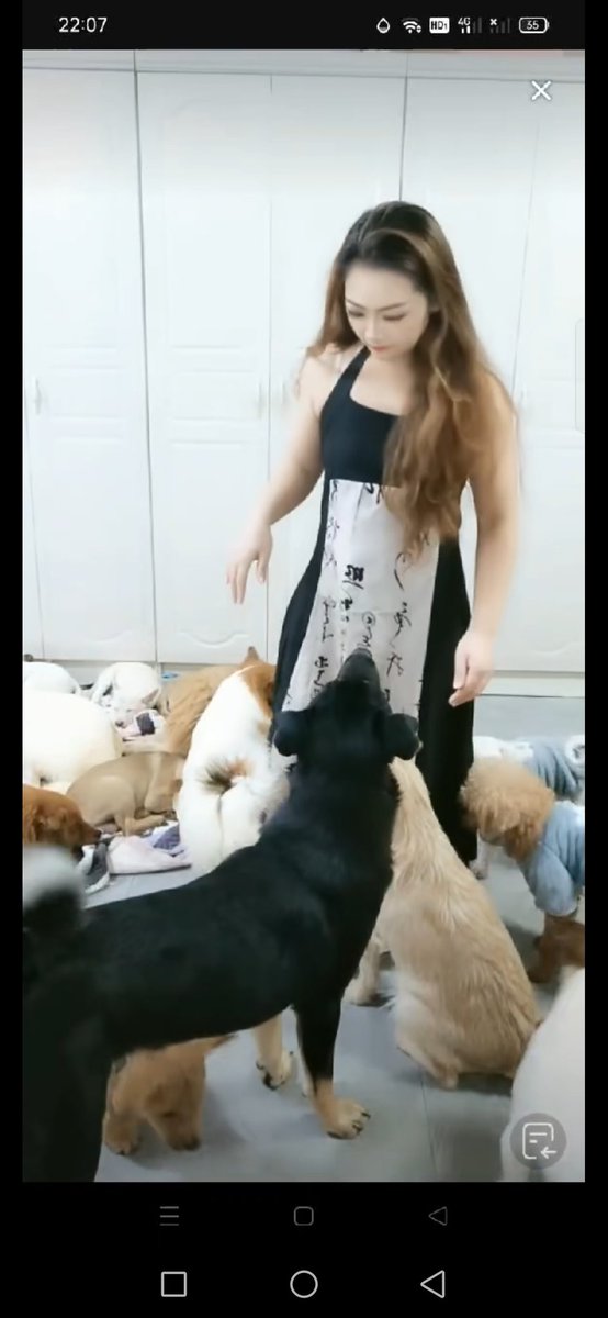 adelina_erna's tweet photo. 高质量国内人和狗狗资源，兽交，高清完整版每部10-50分+q1706578589 #兽交 #猎奇 #小马拉大车 https://t.co/kWqalluUXV