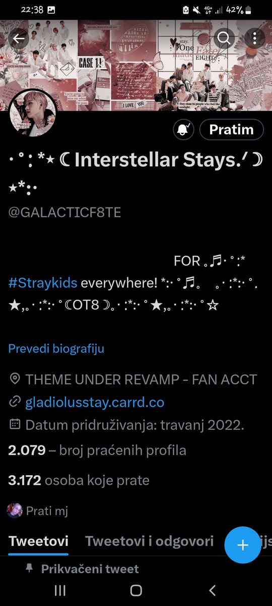 tinakurtin's tweet photo. @GALACTICF8TE @Stray_Kids thank you so much for this ga https://t.co/797fu0N0cX