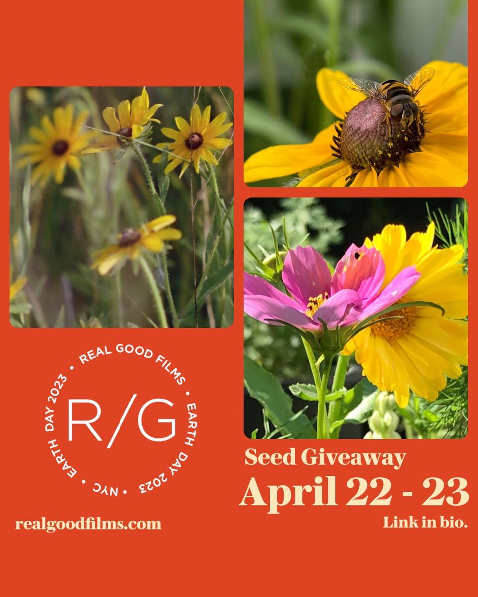 realgoodfilms's tweet photo. #EarthDay - check out our seed giveaway &amp; transform any size green space into a #pollinator area! 

https://t.co/UNe2G0KZn4 https://t.co/5AZHhXZKAO