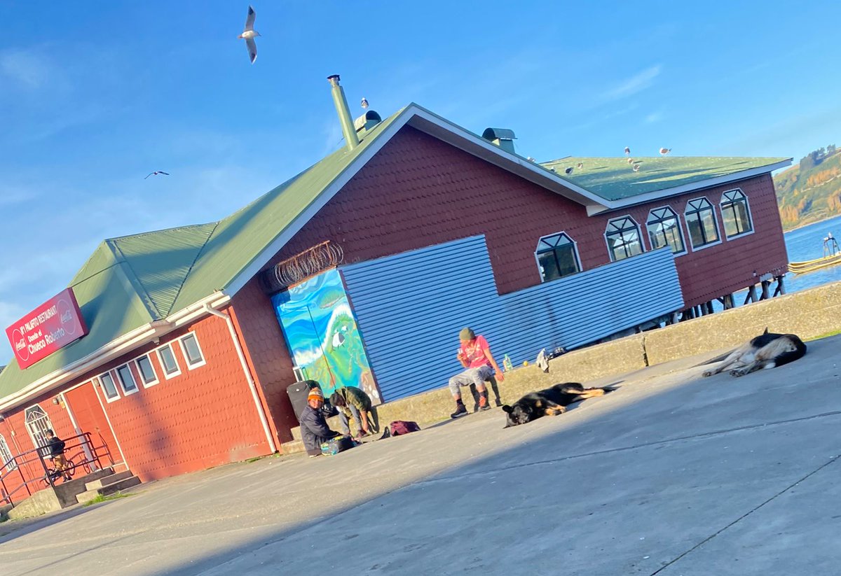 BFran0173's tweet photo. Desgradable costanera de #Castro, es un bar abierto. @Juaneduardoconc que pasa con seguridad ciudadana, trabajan los domingos? @radiochiloe @DPPChiloe https://t.co/oiTT8KRTZH