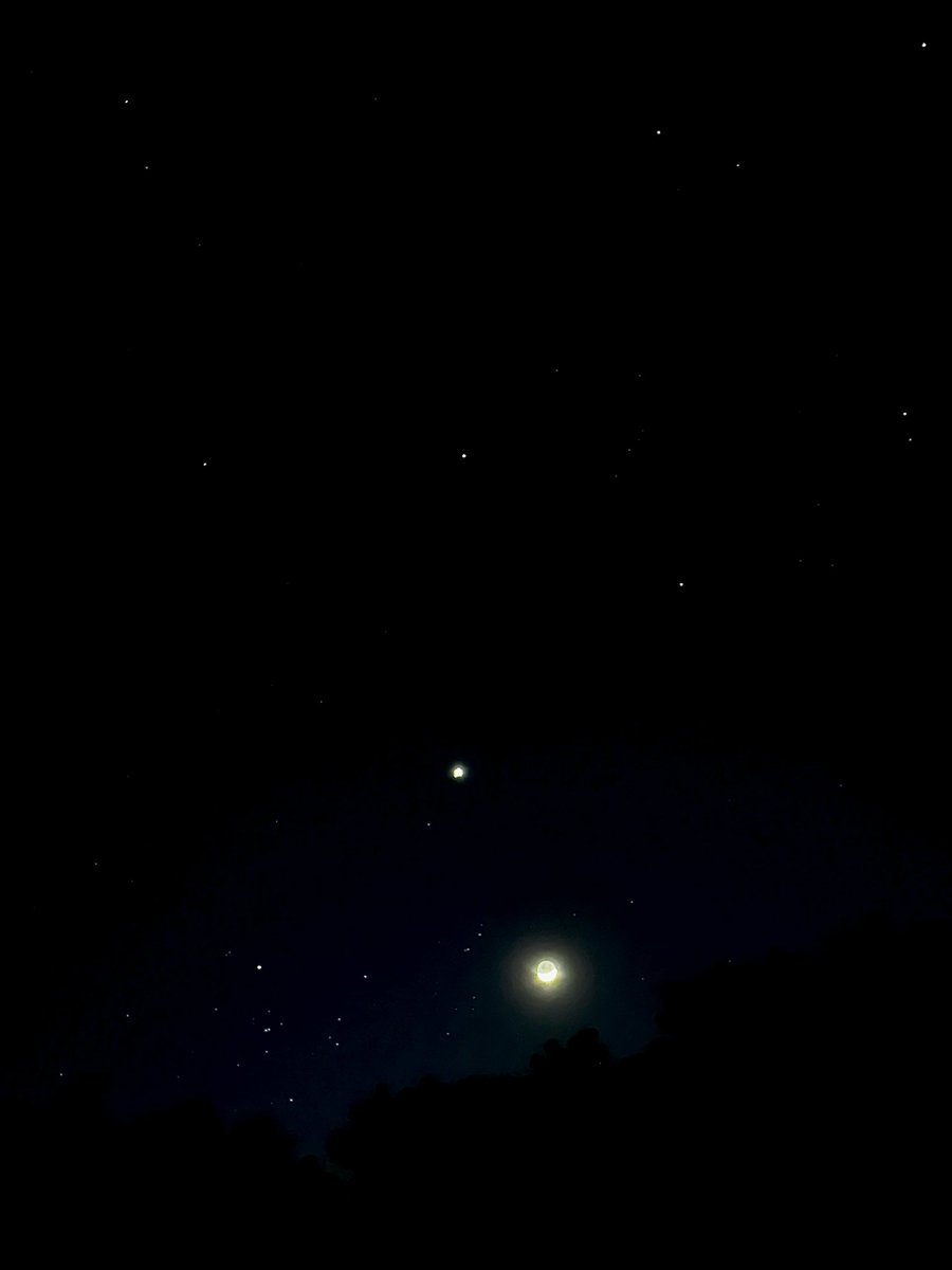 _xxerces's tweet photo. Last nights beautiful Venus Moon conjunction in Gemini! 🌙✨ https://t.co/FjNA7fsodG