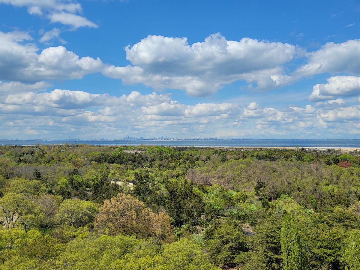 GatewayNPS's tweet photo. Wow! What a difference a week makes! Bare branches no more! The park is bursting with fresh, green, spring foliage. What about where you live? What kind of changes do you see taking place? #GatewayNPS #NewYorkHarbor #JerseyShore #SpringFoliage https://t.co/gecq2sV1zr