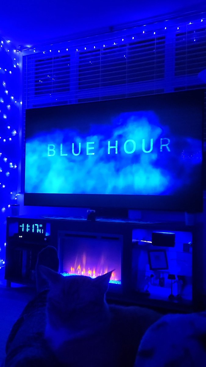 horror_szn's tweet photo. Features. @PanicFilmFest #PanicFest2023 #TheBigfootTrap surprised me with how good it was. #BlissofEvil was okay. #BlueHour: The Disappearance of Nick Brandreth blew me away...this one needs a theatrical release. #FirstContact was good. https://t.co/nGkrVtJC51
