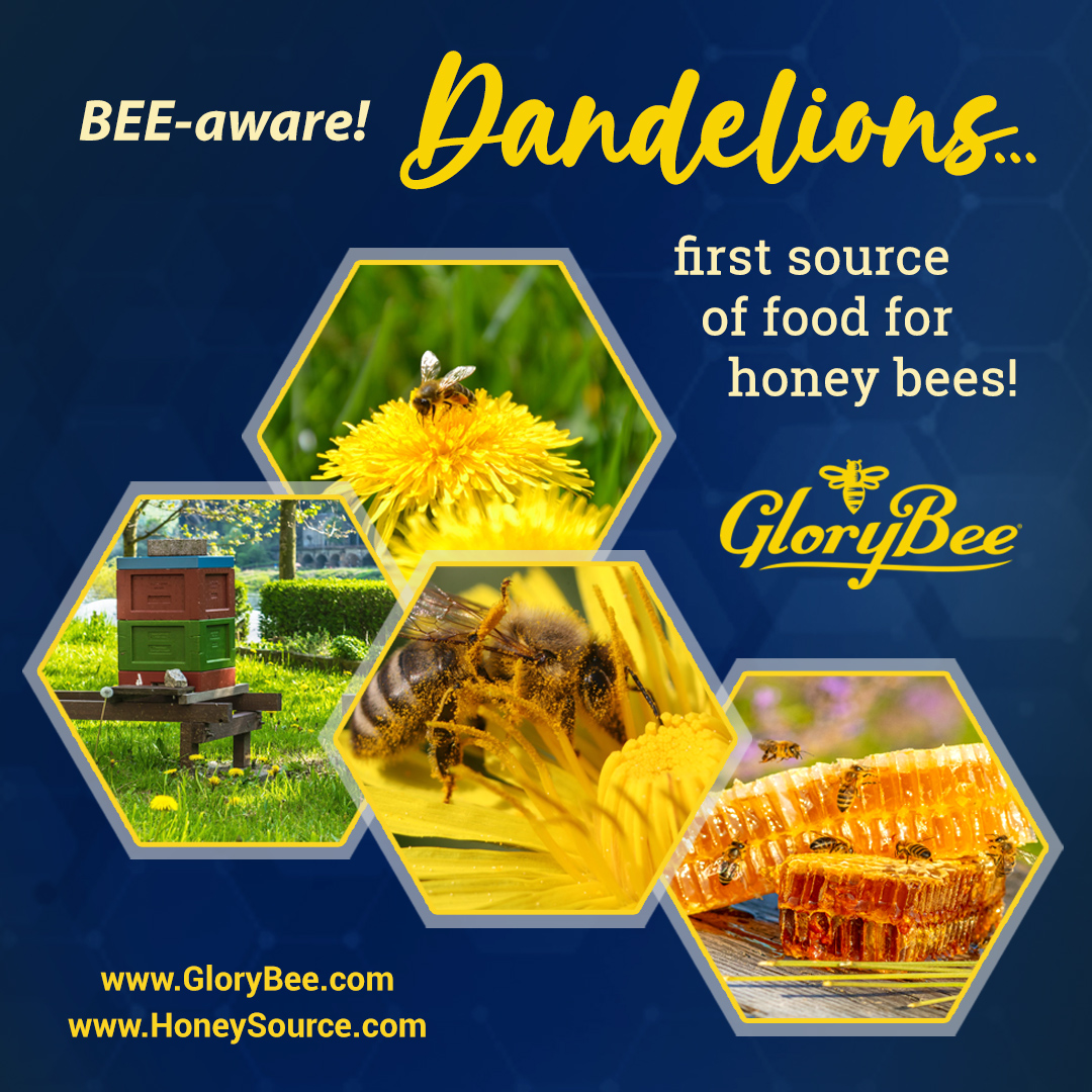 GloryBee tweet media