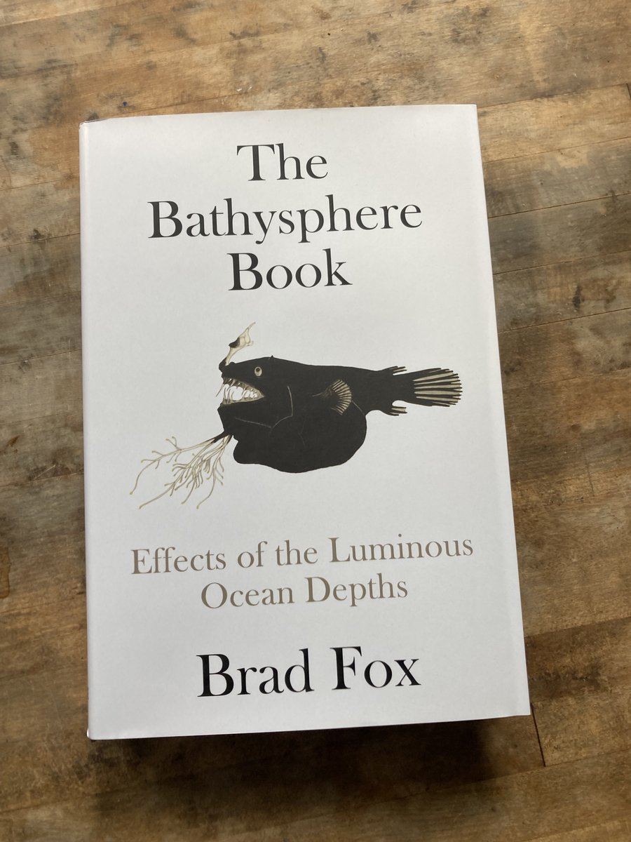 BredFoks's tweet photo. Finally have copies of  the US edition of The Bathysphere Book. It looks amazing. Many thanks to @astrahousebooks and @ae_akinwumi. Launch is May 16, 7pm at the seaport location of @mcnallyjackson with @_afmaeli. Please come! https://t.co/zJuQBgyHtN https://t.co/ra7e8e5tvs