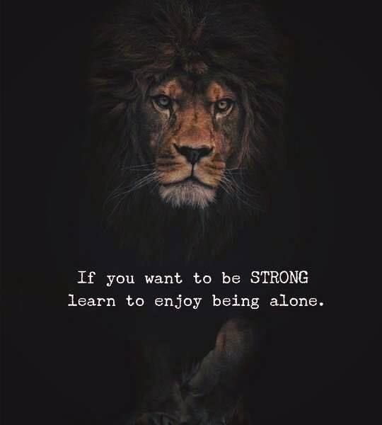 AllwellKevin's tweet photo. 🦁 https://t.co/FvClOcMuKa
