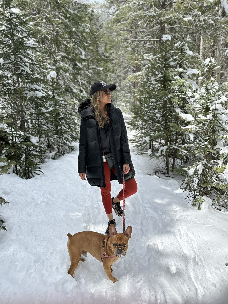 BrisaPenaUCD's tweet photo. Enjoying the beautiful white mountains after yesterday snowstorm
Also little Yoda doesn’t like to get his belly wet, but I don’t mind carrying him 🤍🤍🤍
Hike: not marked, but it’s to the other side of Beaver Brook Watershed Trailhead (Evergreen)
#dogmom #exploreCO https://t.co/N7FDMuRlFO