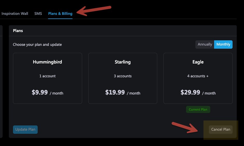 Flight Path tweet media