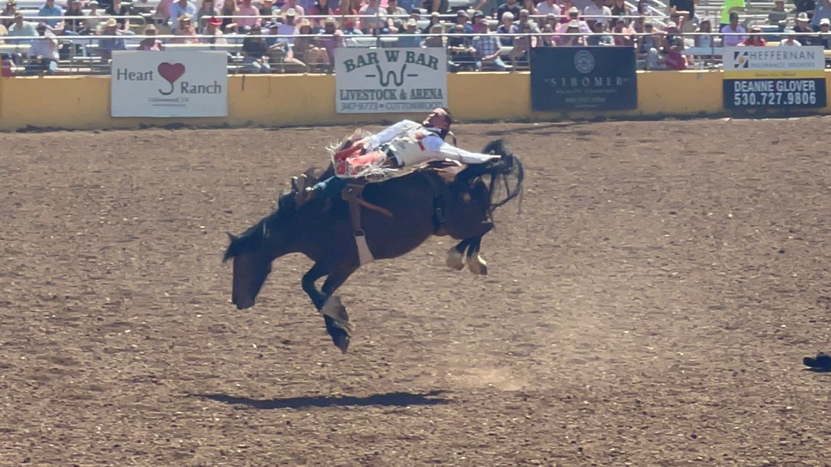 protectro's tweet image. fun #redbluffroundup