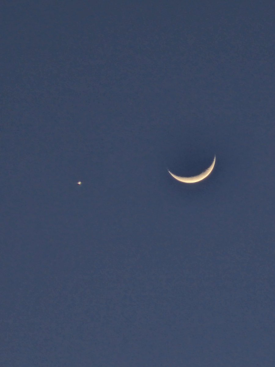 reeenenene tweet media