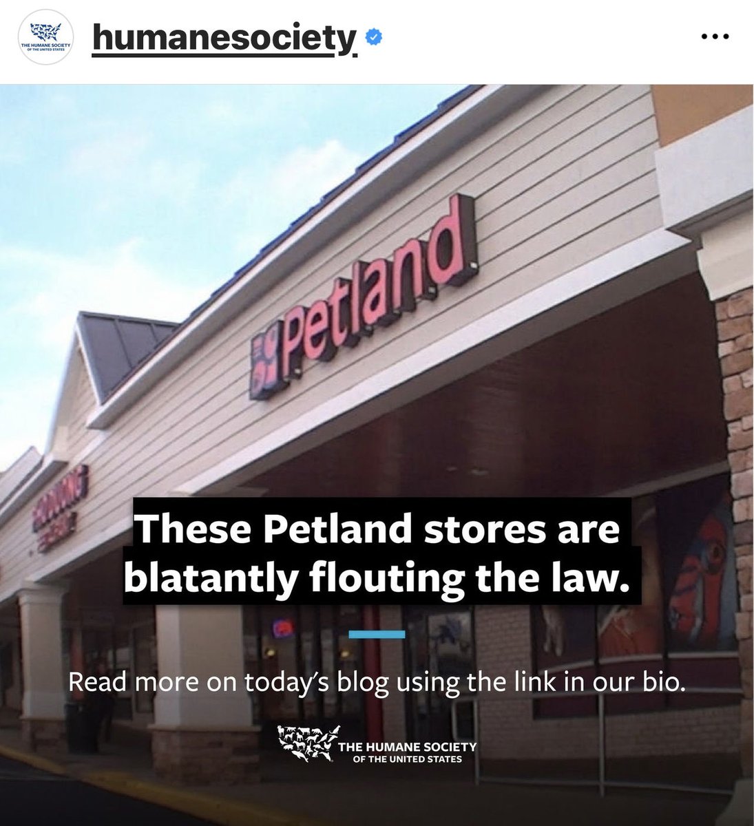 Shame on you ⁦@petland⁩ using the ⁦@HumaneSociety⁩ name. #petland #puppymills