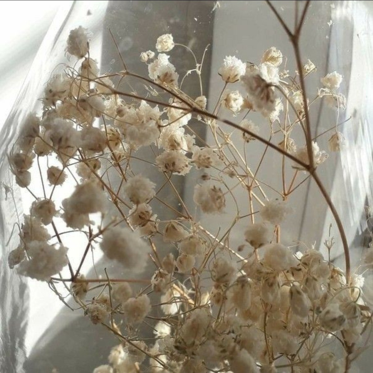 instagramers tweet media