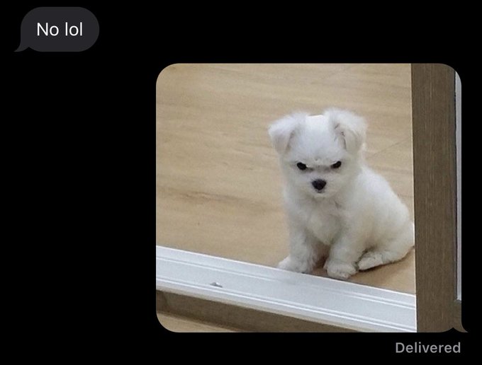 😡😡😡 https://t.co/aW4LFgPclc<a href="/tag/asmr"class="tags"><span>#asmr</span></a>