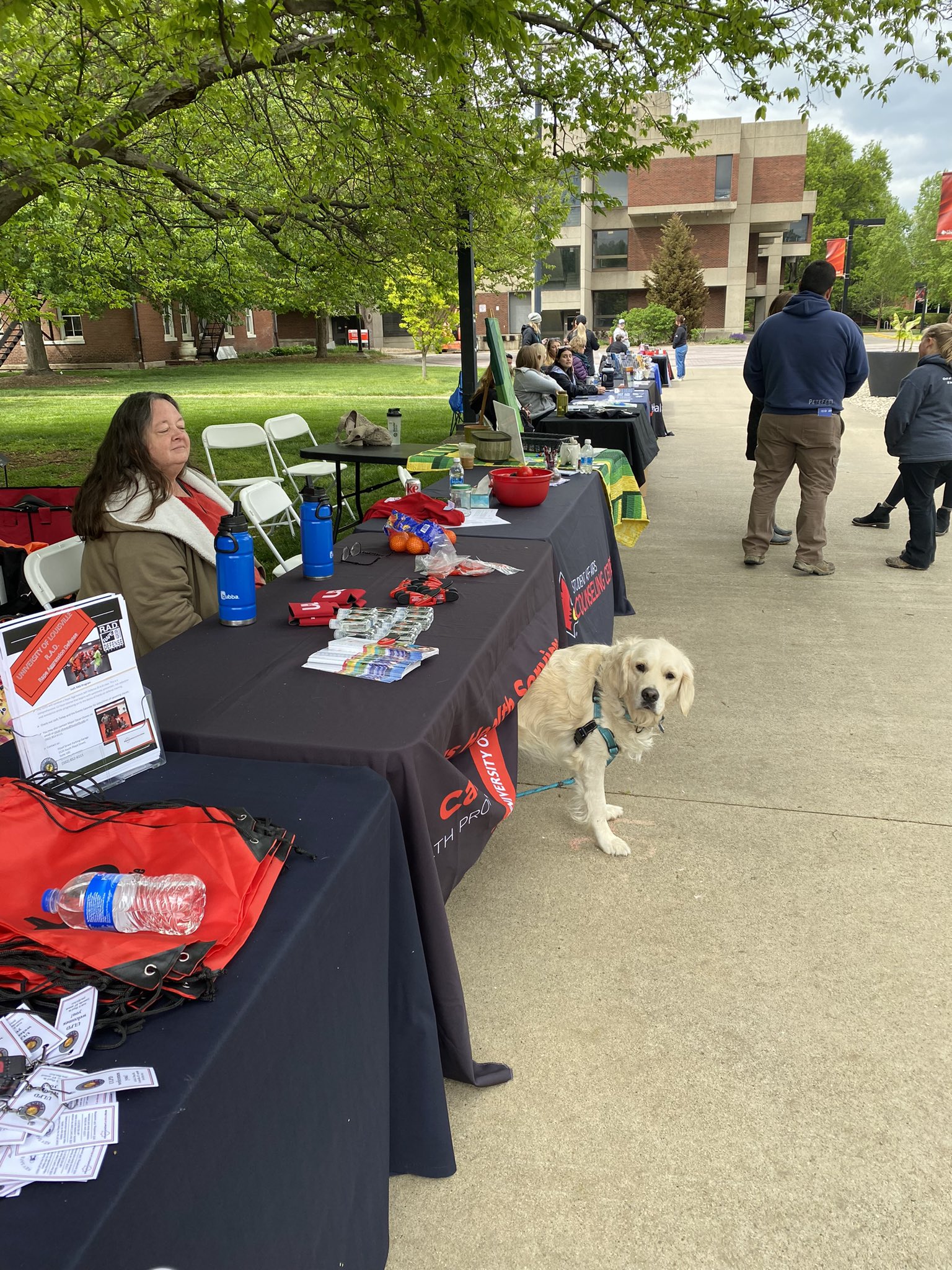 University of Louisville Dog 