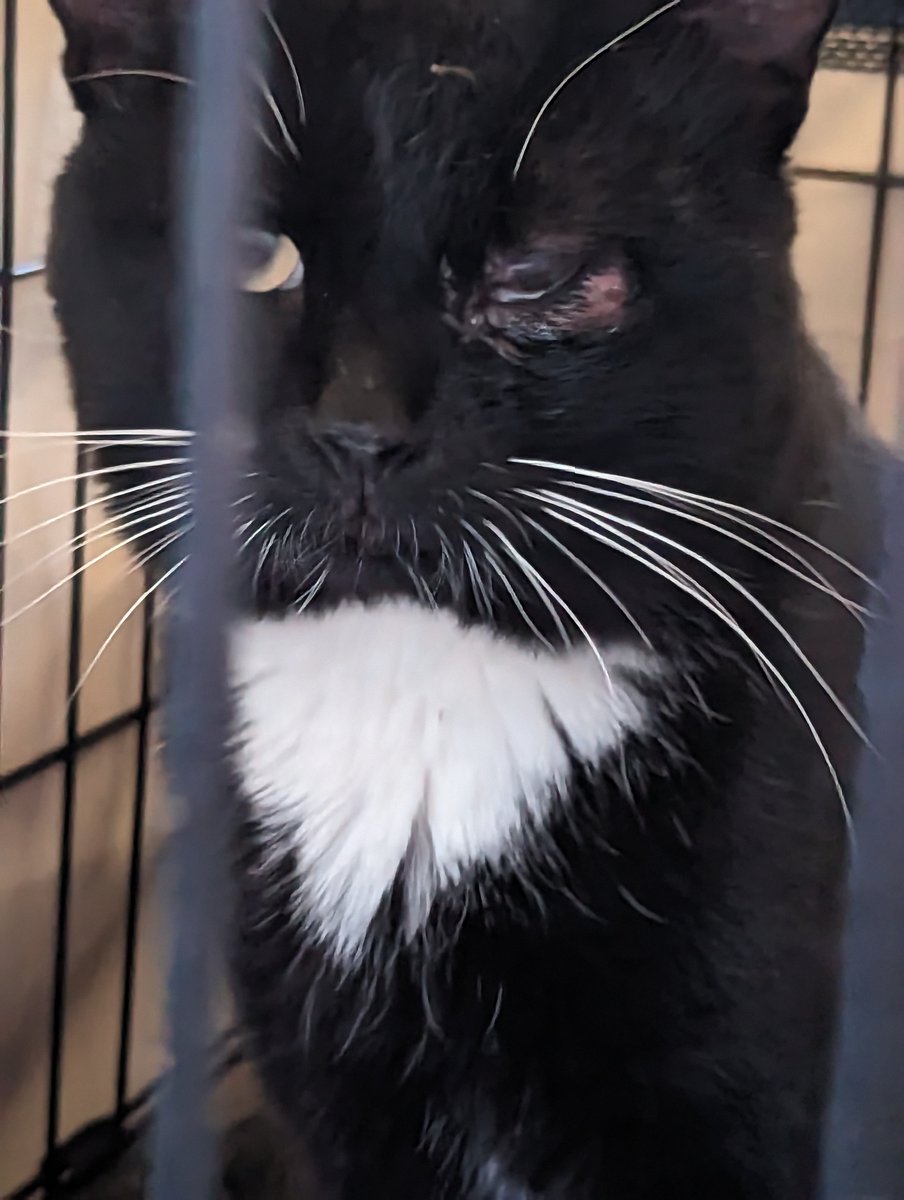 Be Your Best tweet media