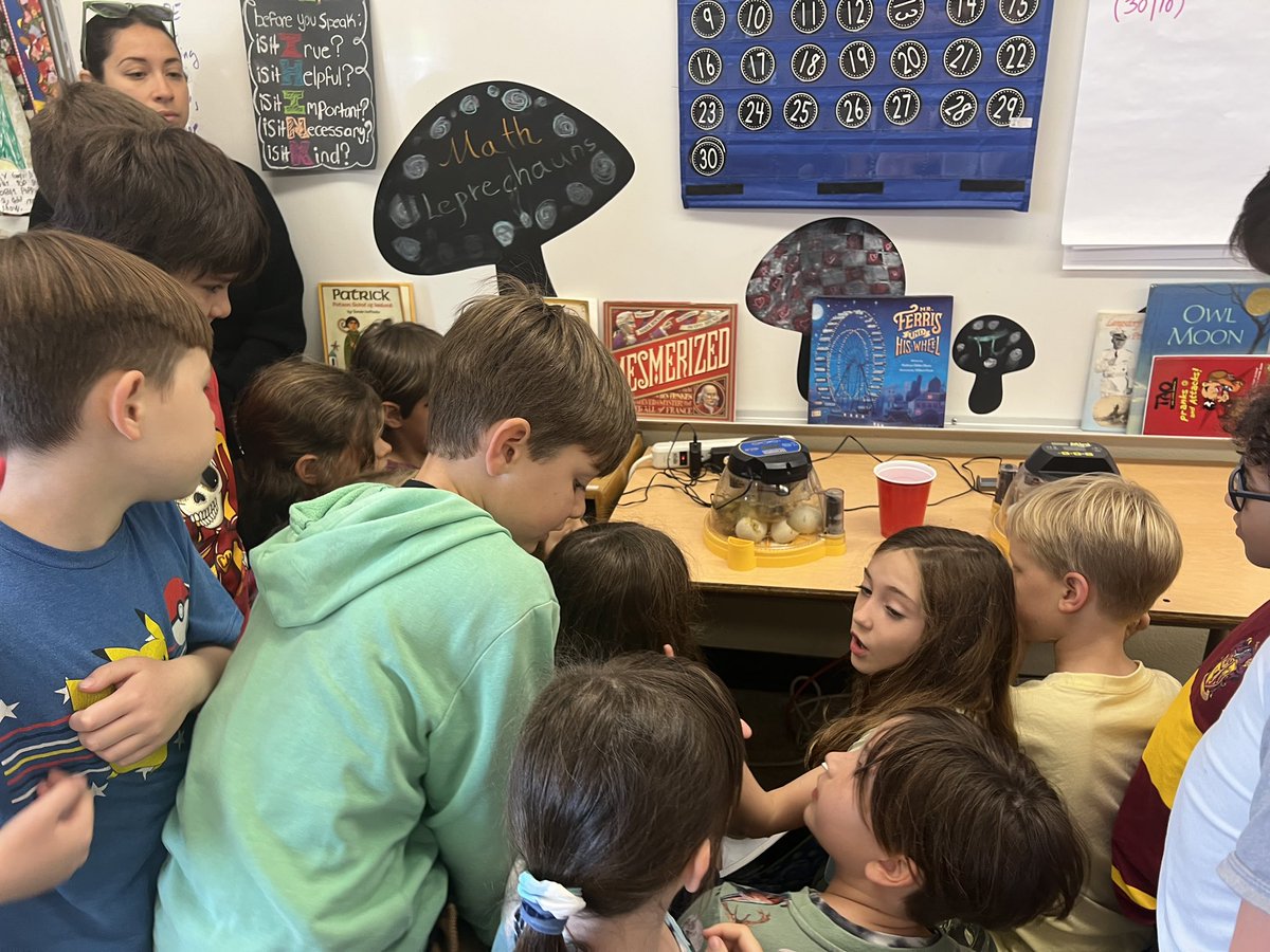 ELangsdorff's tweet photo. It’s that time of year again. Hatch day for our ducklings! #STEMeducation #EarthDay #lifelessons https://t.co/IUziiU1ybB
