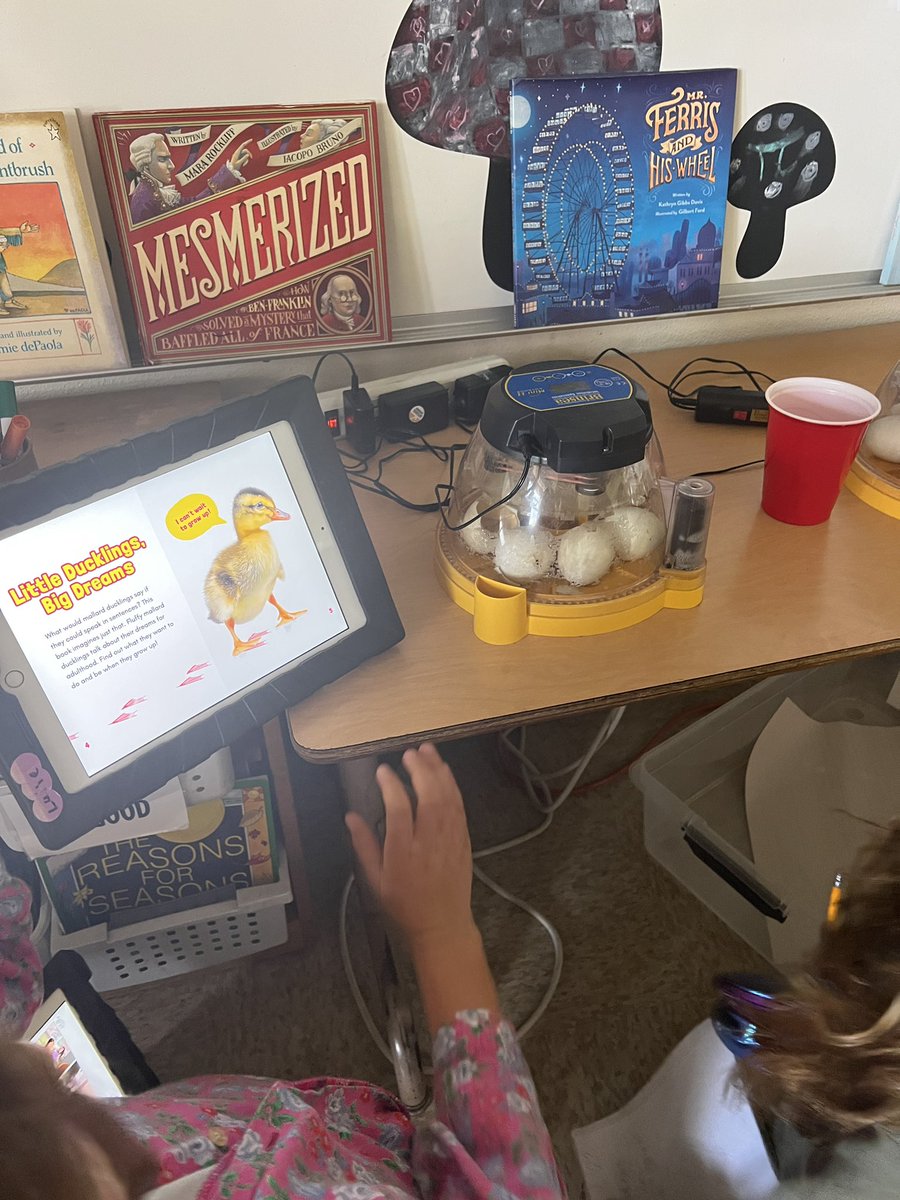 ELangsdorff's tweet photo. It’s that time of year again. Hatch day for our ducklings! #STEMeducation #EarthDay #lifelessons https://t.co/IUziiU1ybB