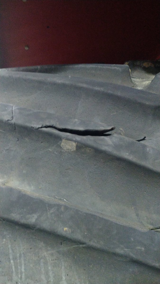 Dane Lindholm tweet media