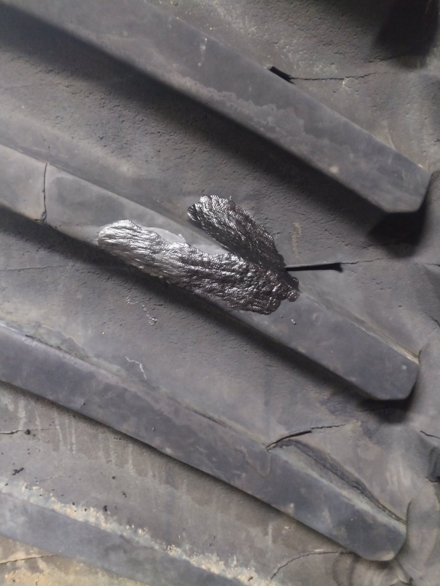 Dane Lindholm tweet media