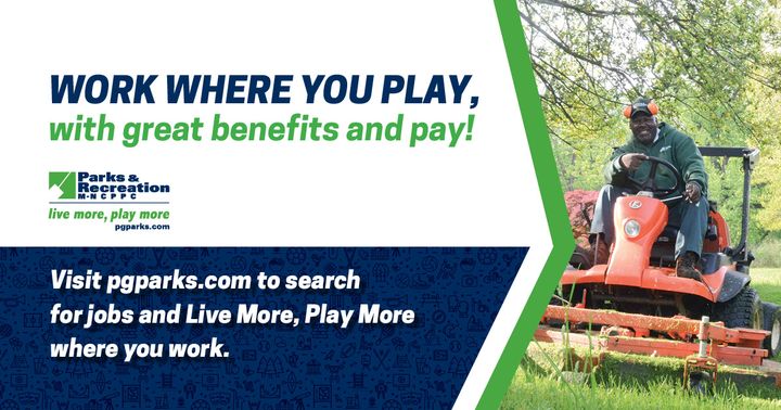 Work where you play, with great benefits and pay! Here you can be yourself and feel supported in reaching your professional goals. 

Visit pgparks.com to search for jobs and Live More, Play More where you work.
