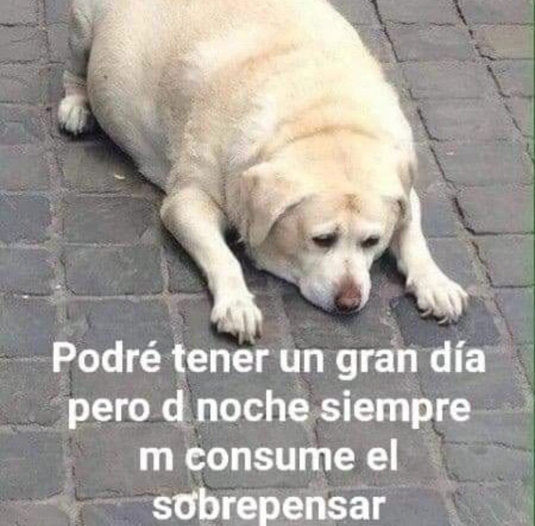 skereunpesado's tweet photo. a mimir https://t.co/HKcOrFJeNA