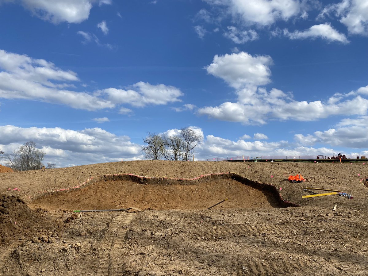 Mark Harrison tweet media