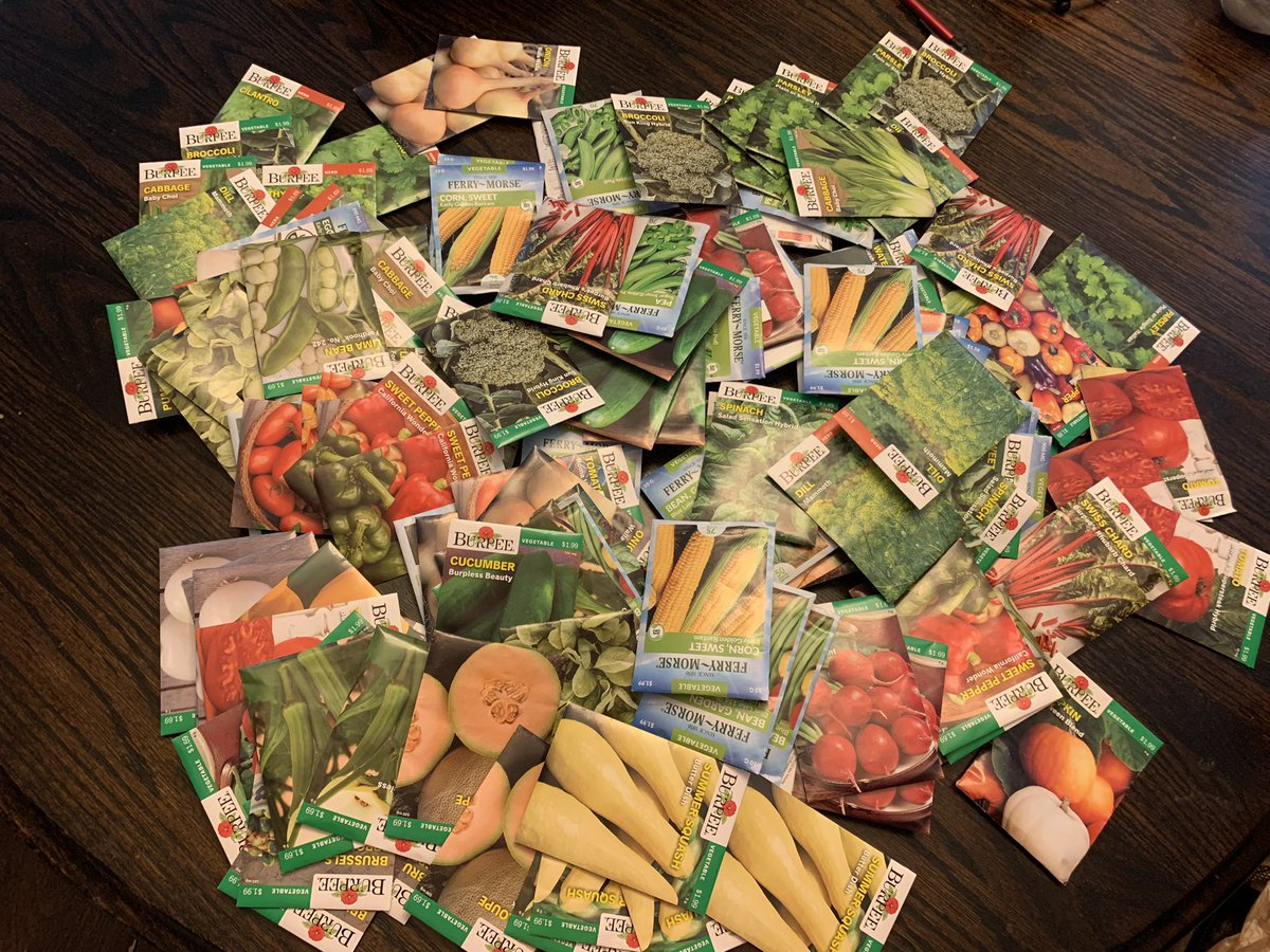 Thank you @ecorise for awarding the funds to purchase seeds for our first ever @NISDBoldt community seed library! We can’t wait to set it up! @BoldtElemGarden @SillerRosie @ChristinaEscar3 #WeRise #EcoTeacher #SeedLibrary #Sustainability #community #gardening