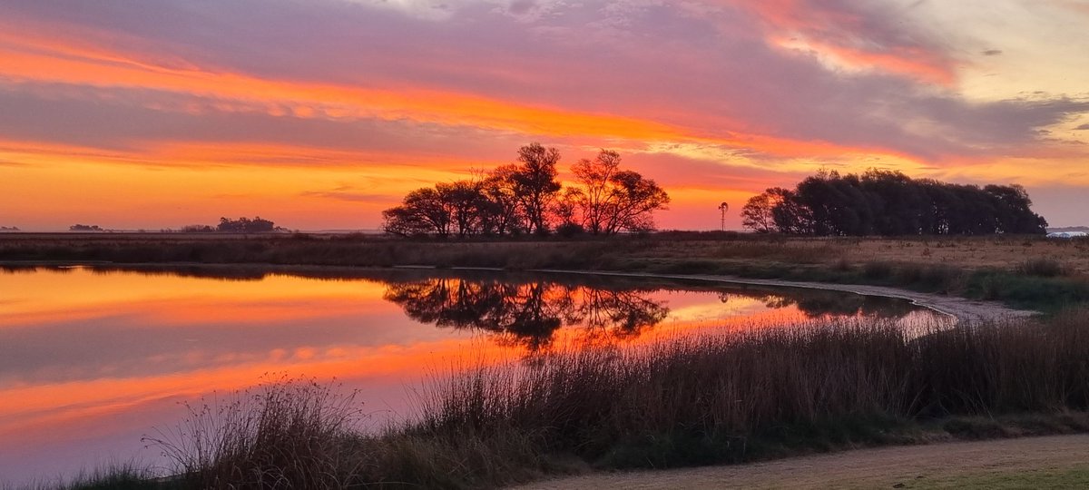 Tomas gortari on Twitter "Foto dada vuelta de la casa. Gran atardecer