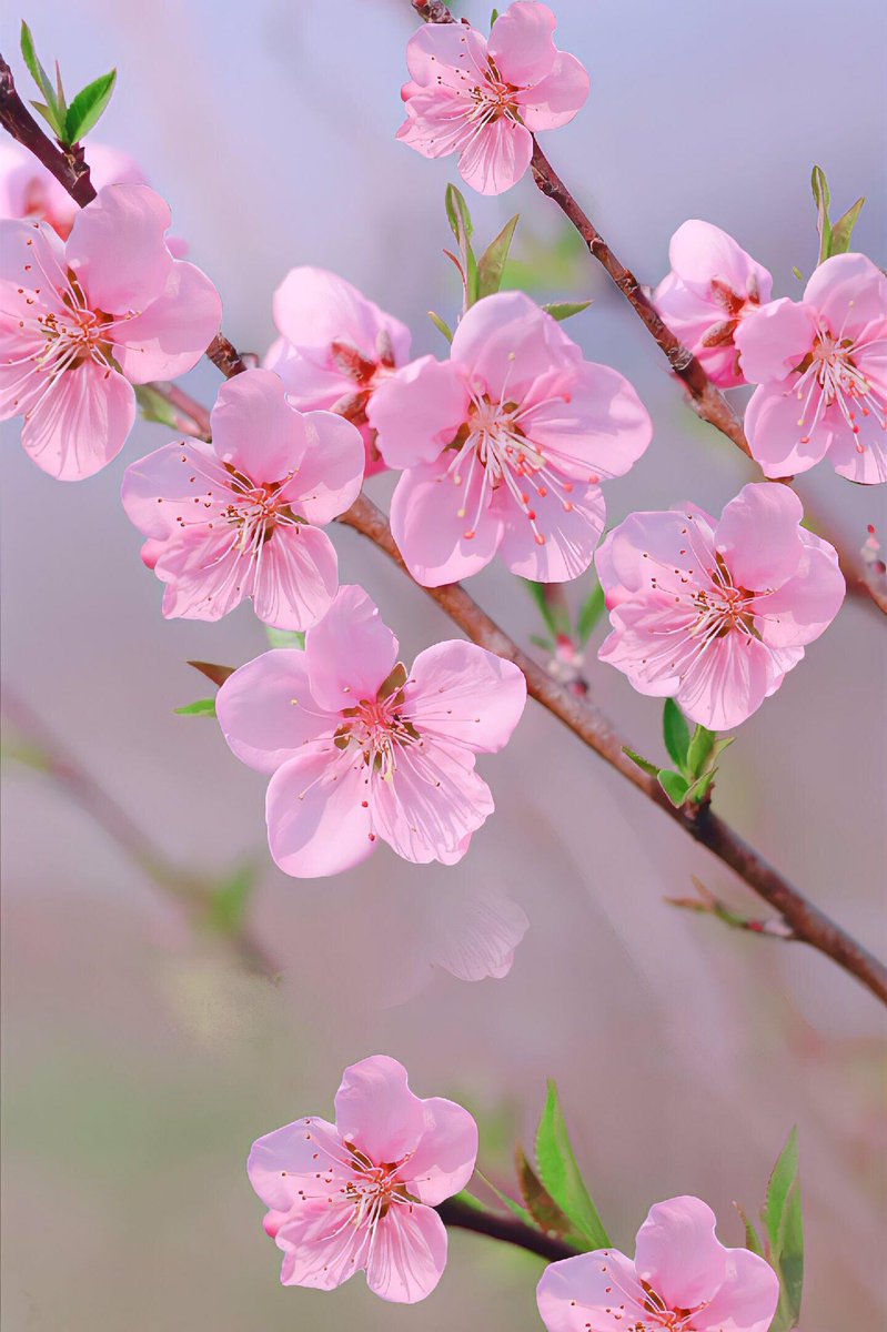 Xixi_1108's tweet photo. 刚刚读到一句英文，谁能帮忙翻译一下：

I am because you are. https://t.co/E2vsmrXNay