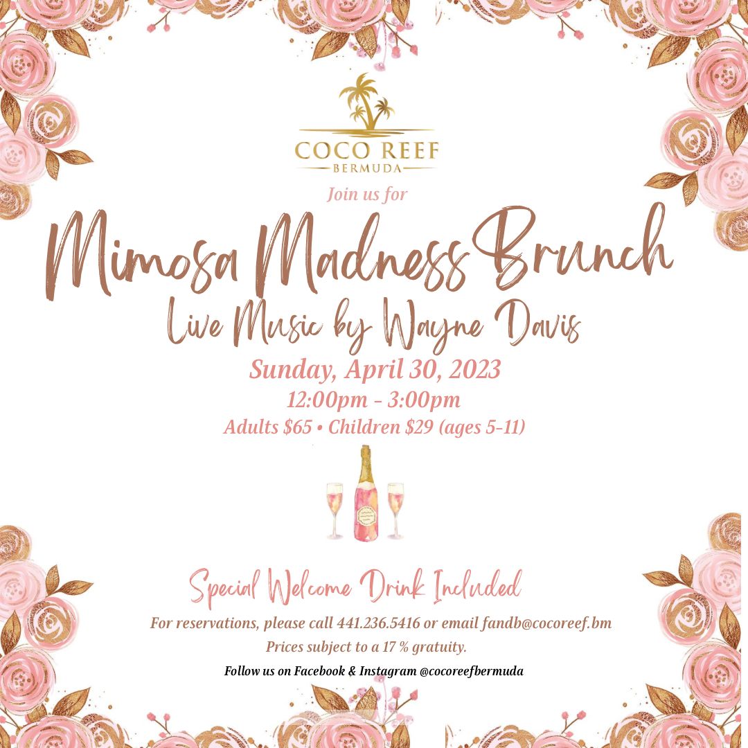 cocoreefbda's tweet photo. Book your table now for our next brunch! 🌸🥂 Mimosa Madness🍾 https://t.co/syFc9sH5Pp