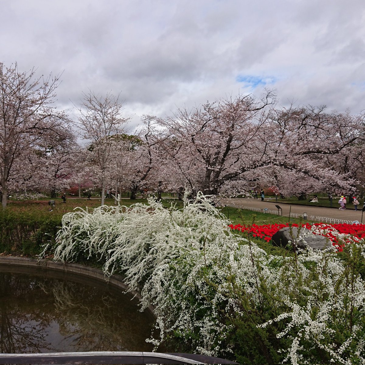 @nico_gaia Thank you for magnificent picture of swiss valley. 
This is Kyoto Botanical Gardens in March.