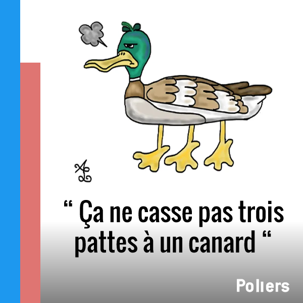 Quelle expression utilisez-vous le plus ?

Répondez au sondage, ou créez le votre ICI >>> bit.ly/3Ao7Fjv