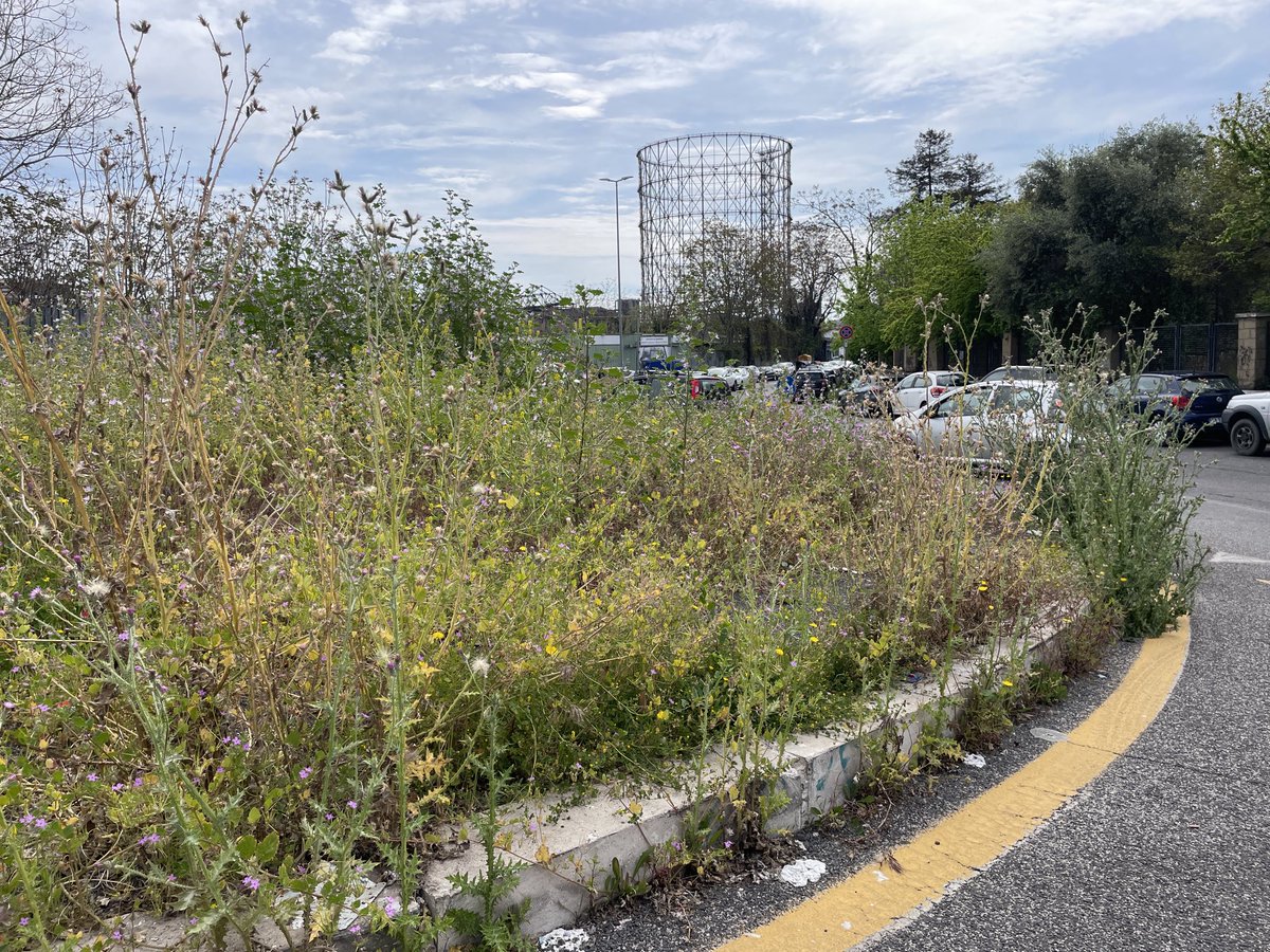 michelenigr's tweet photo. ⁦@gualtierieurope⁩ Ma ‘na spuntatina? #humanlands #roma https://t.co/1WDR8xJYFd