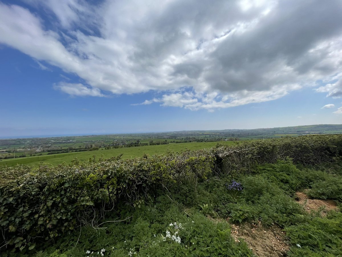 89th Dublin Scouts tweet media