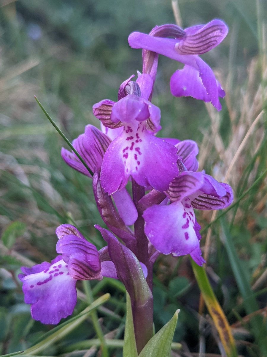 Alice Cousens tweet media