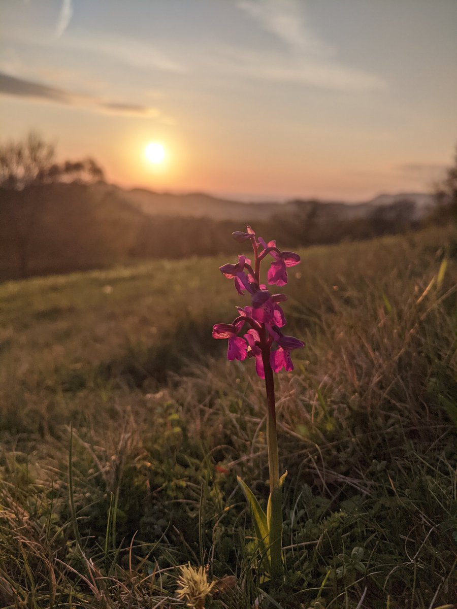 Alice Cousens tweet media