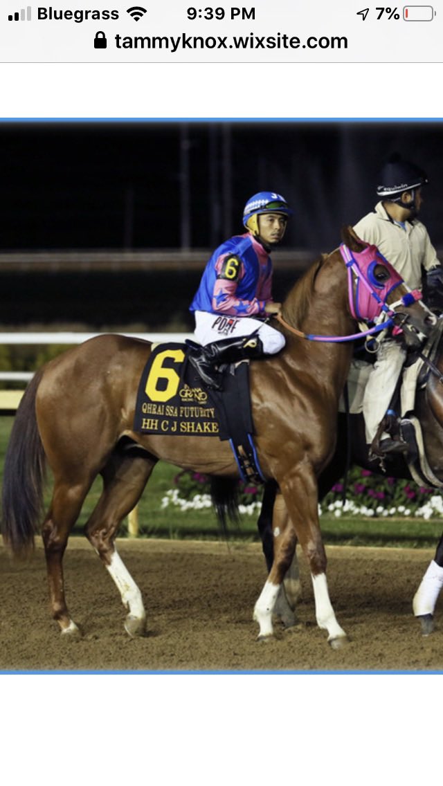 Three nice babies born this spring, including two full sisters to HH CJ Shake and another by EOS A Political Win. <a href="/INQuarterHorse/">Indiana Quarter Horse Breed Development Program</a> <a href="/HSIndyRacing/">Horseshoe Indianapolis Race Course</a> <a href="/AQHARacing/">AQHA Racing</a>