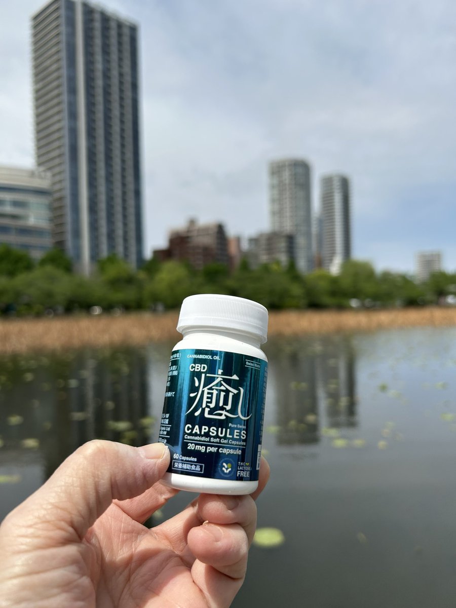 不忍池と CBD