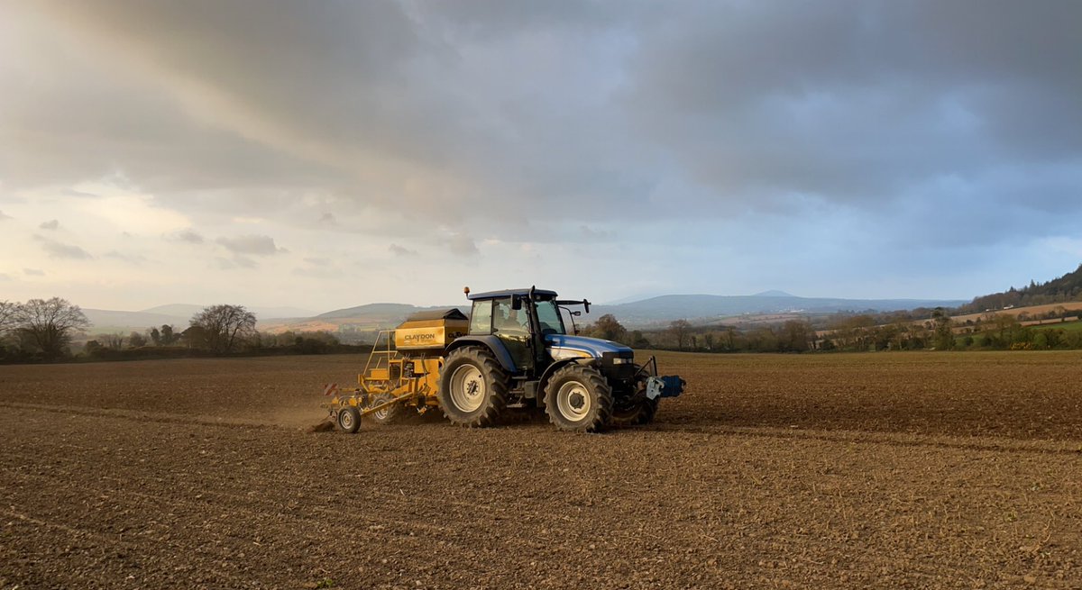 Maizetech Ltd tweet media