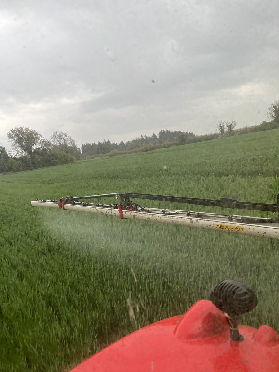 Conall Moore tweet media