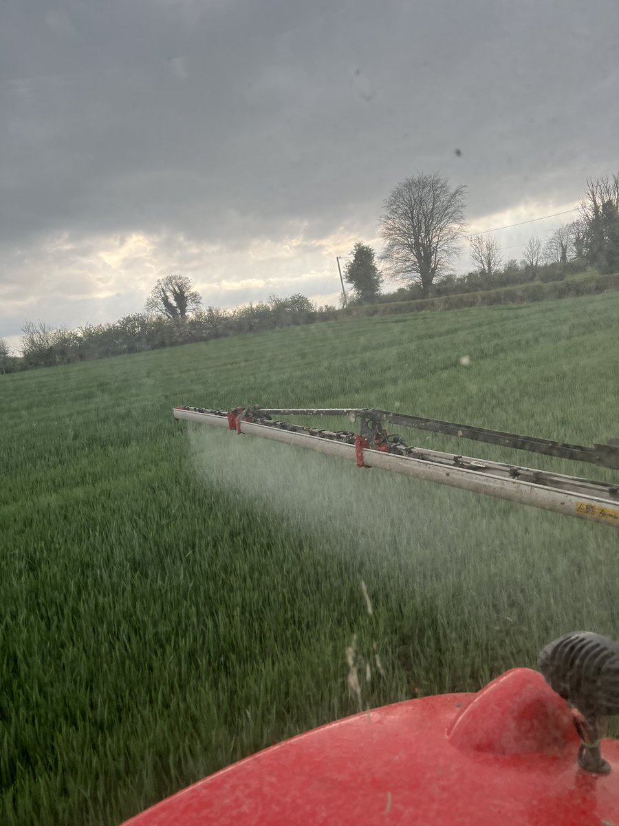 Conall Moore tweet media