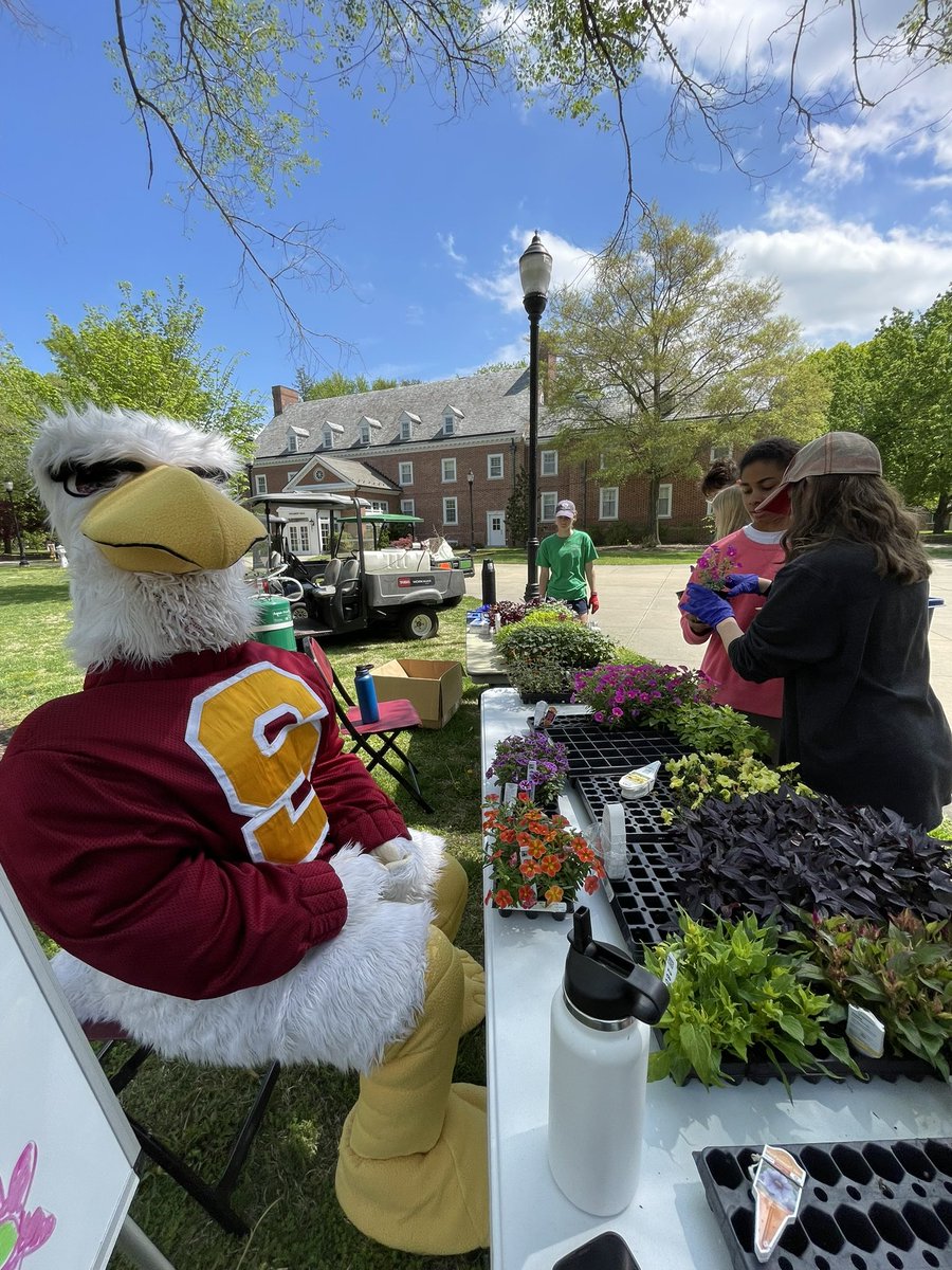 Salisbury University SGA tweet media