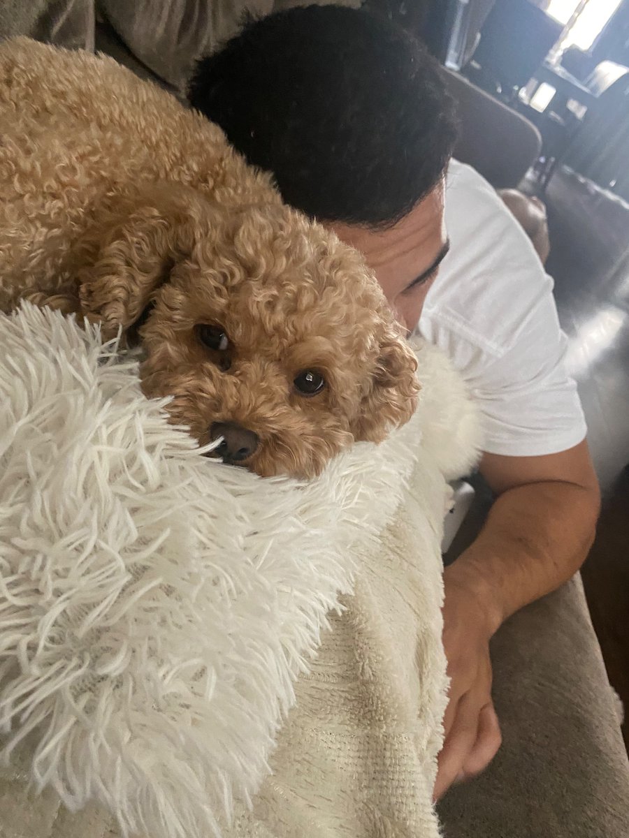 Jess_love09's tweet photo. Lazy Sunday with my family 🤍 https://t.co/NLiAkHLM8i
