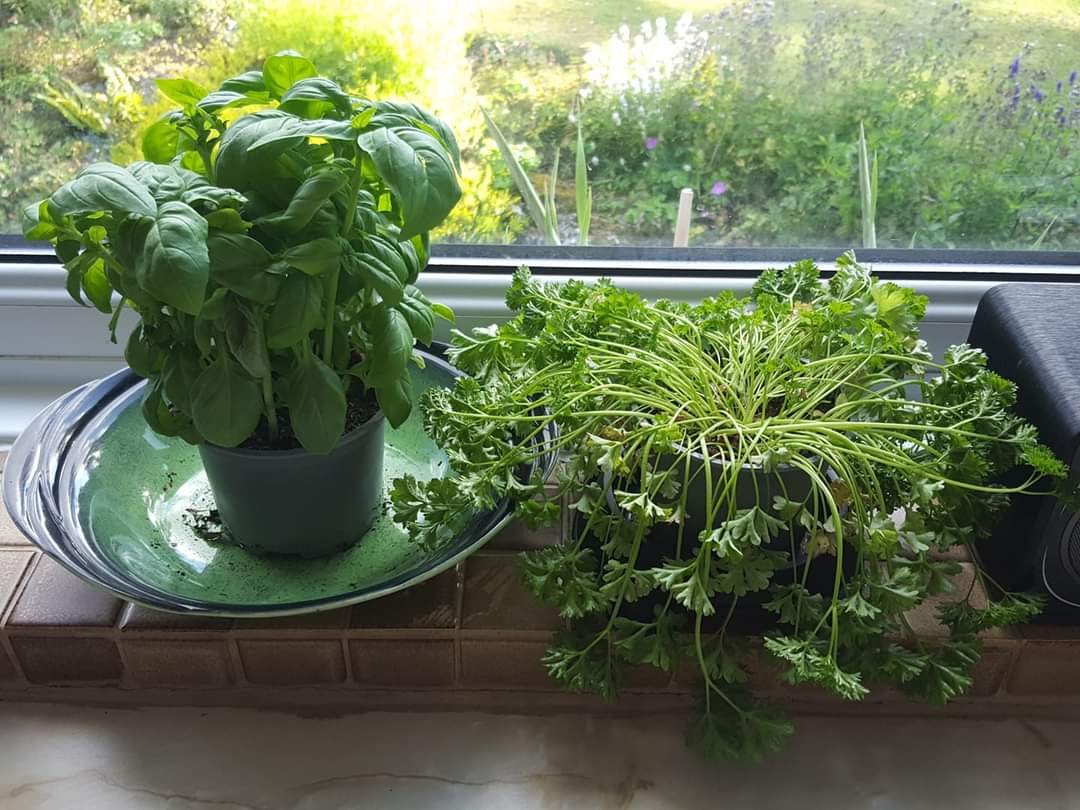 Lucy Hunt tweet media