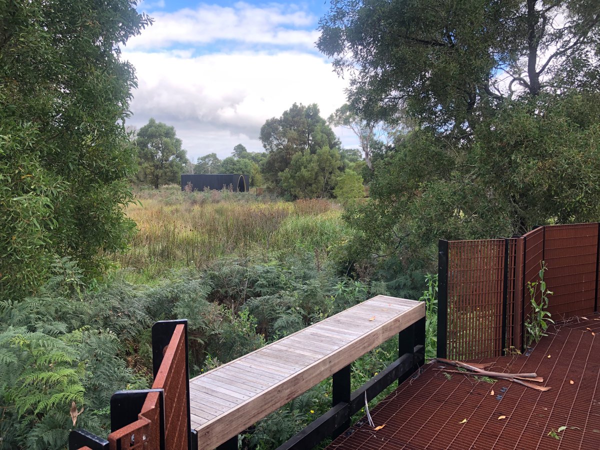 BiologyLab's tweet image. Spent four days on Gunditjmara Country with Elders and rangers and colleagues from FEIT - some amazing projects and ideas emerged. @BioSci_UniMelb @SciMelb