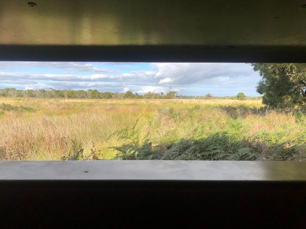 BiologyLab's tweet image. Spent four days on Gunditjmara Country with Elders and rangers and colleagues from FEIT - some amazing projects and ideas emerged. @BioSci_UniMelb @SciMelb